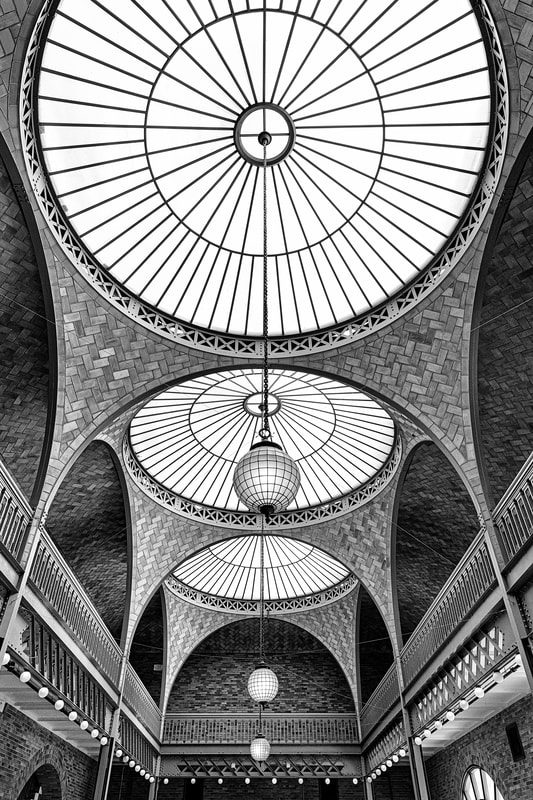 black and white ceiling of Hearst Mining Building