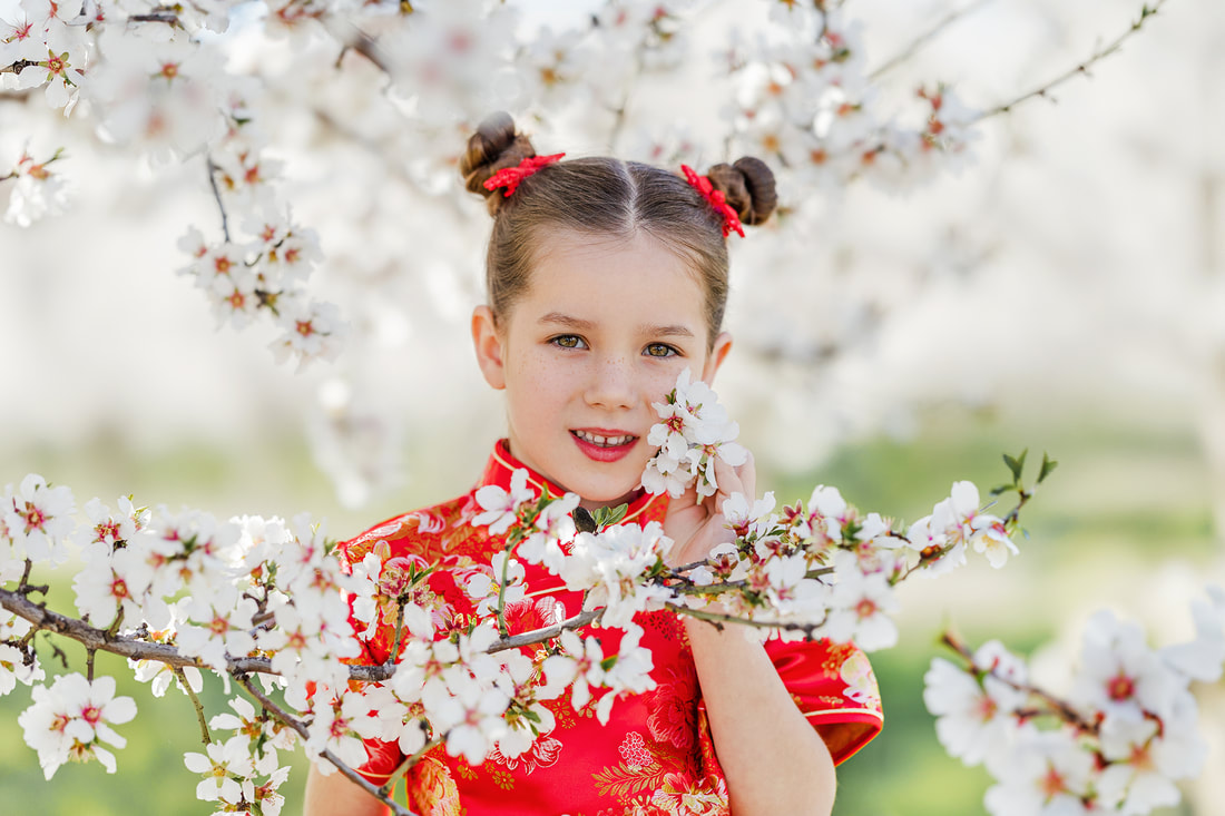 Girl in red chinese dress with almond blossoms