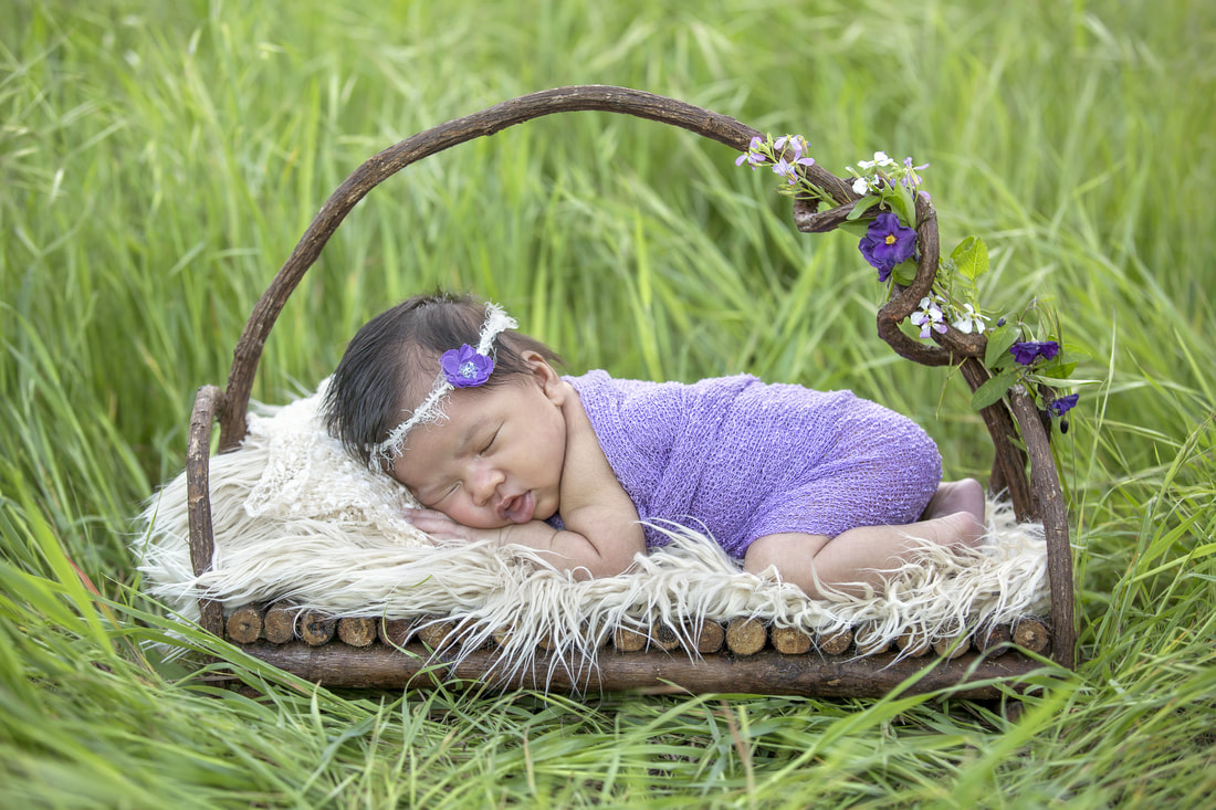 newborn in basket in the grass