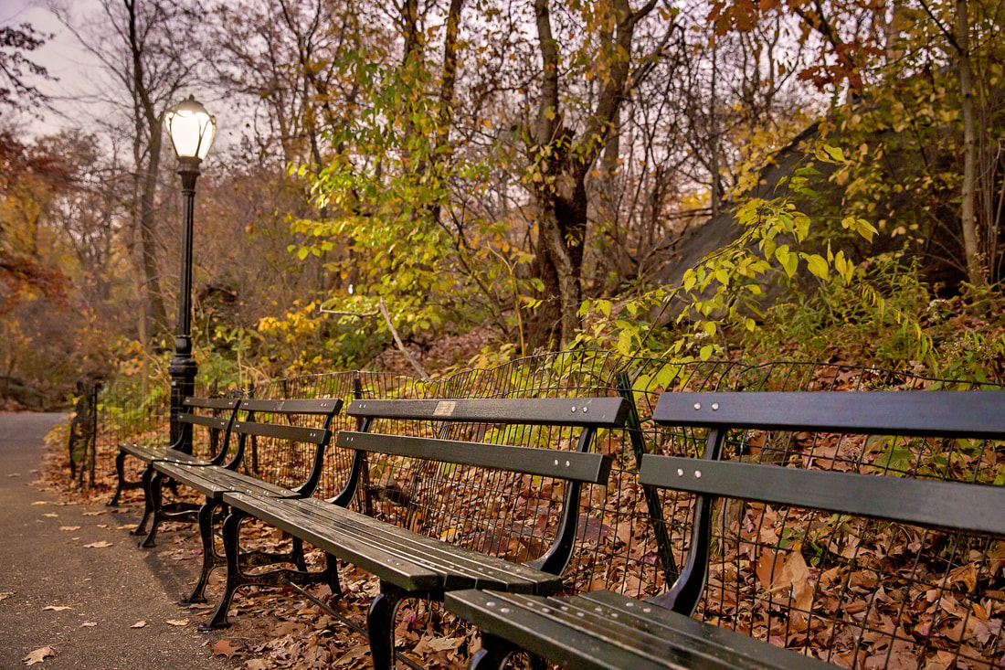park benches at Central Park, NY