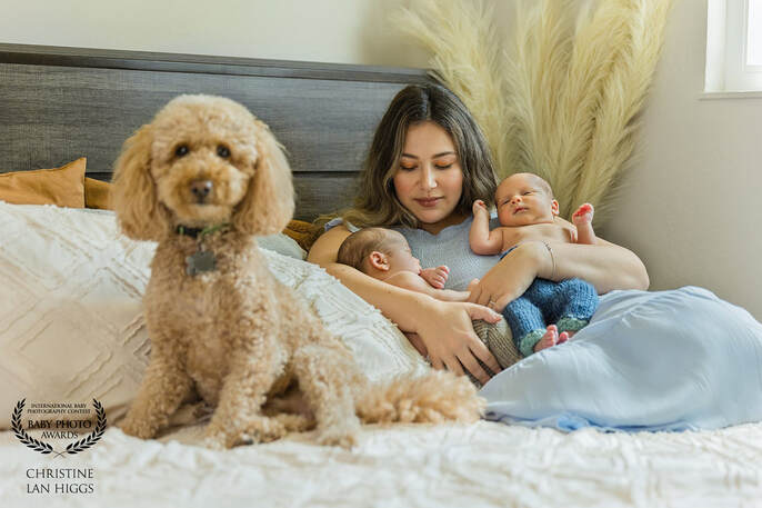 Mom with twin boys laying on bed with brown poodle dog