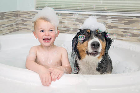 young boy and dog taking a bubble bath