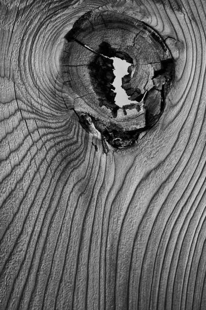 black and white piece of knotted wood
