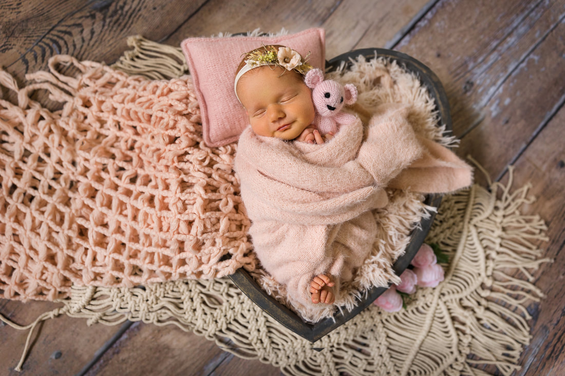 newborn baby in pink blanket holding a pink bear