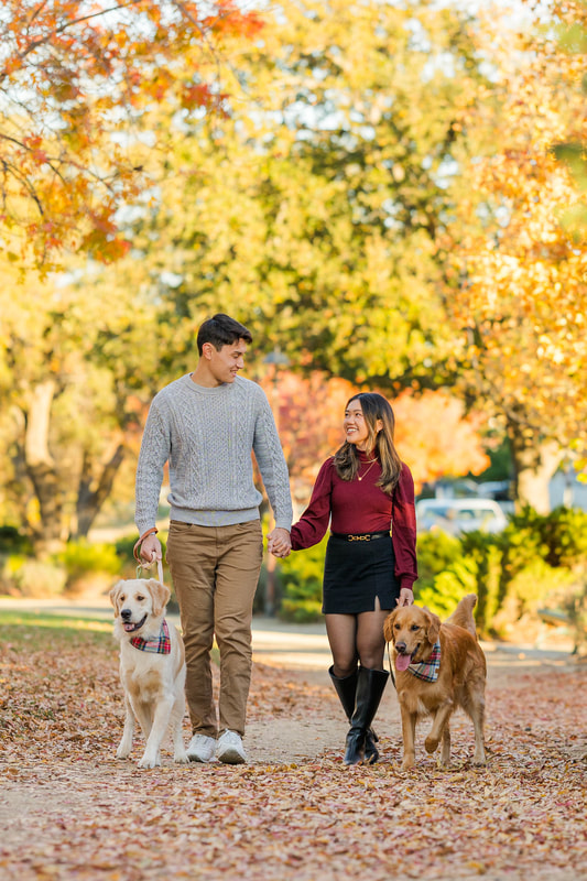 Young male and female couple walking their 2 large dogs