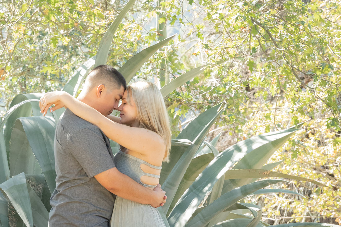 male and female holding each other with foreheads together in front of a cactus