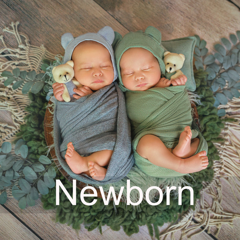 newborn twin boys laying in a bowl holding teddy bears